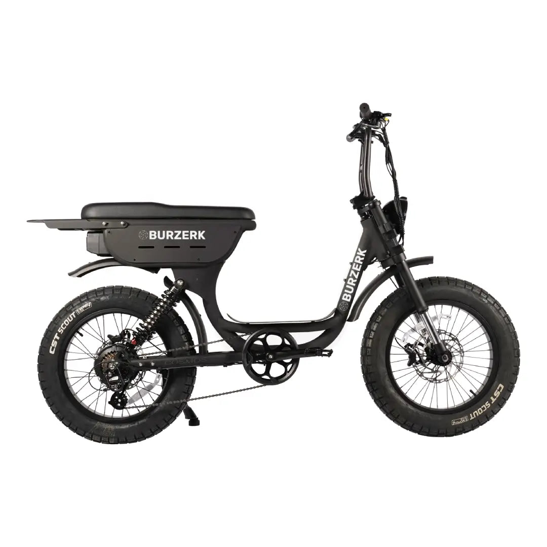 COSMOS | ELECTRIC BIKE