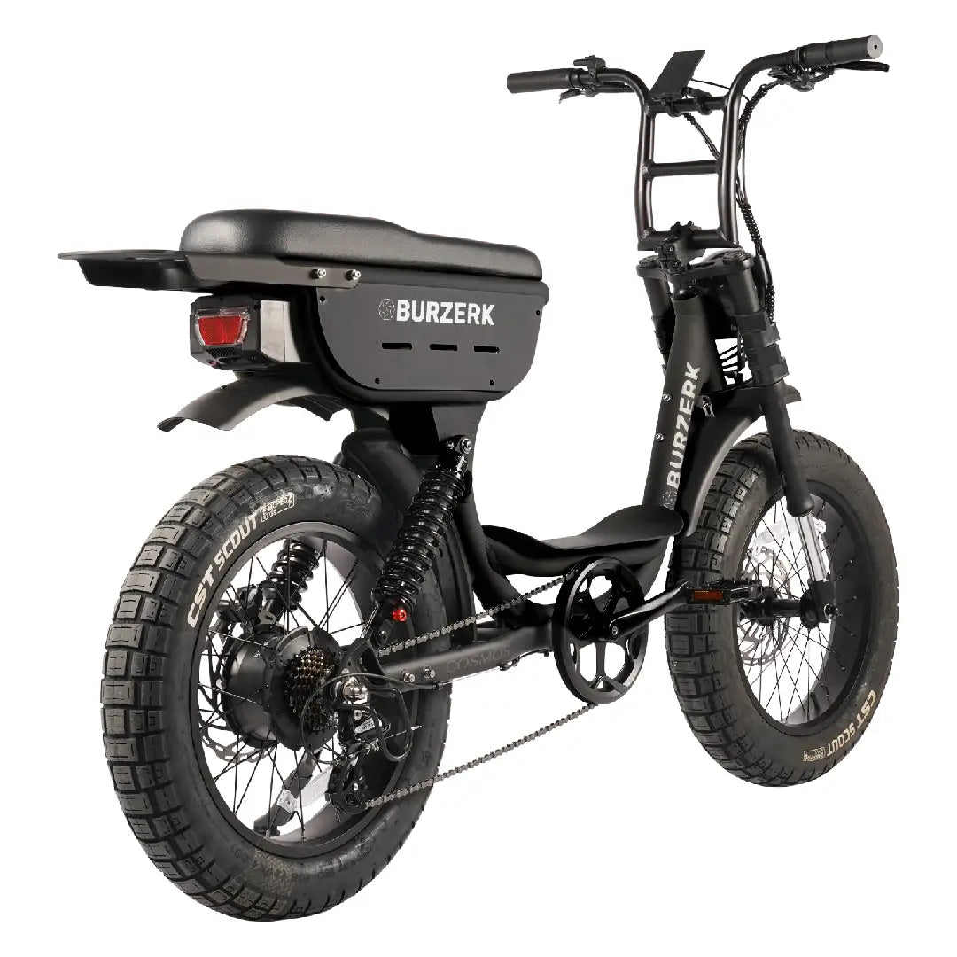 COSMOS | ELECTRIC BIKE