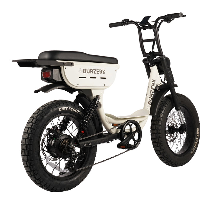 COSMOS | ELECTRIC BIKE