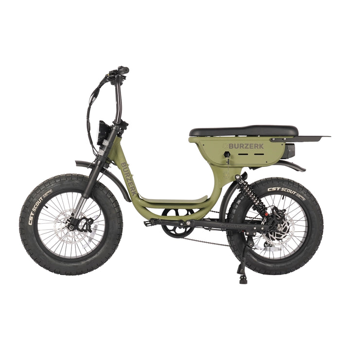 COSMOS | ELECTRIC BIKE